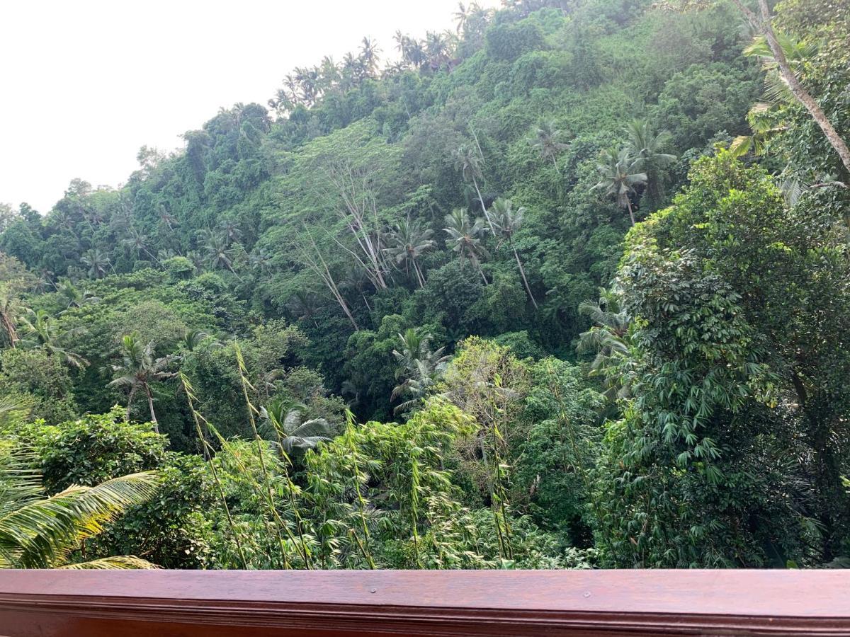 D'Tepi Ubud House ภายนอก รูปภาพ